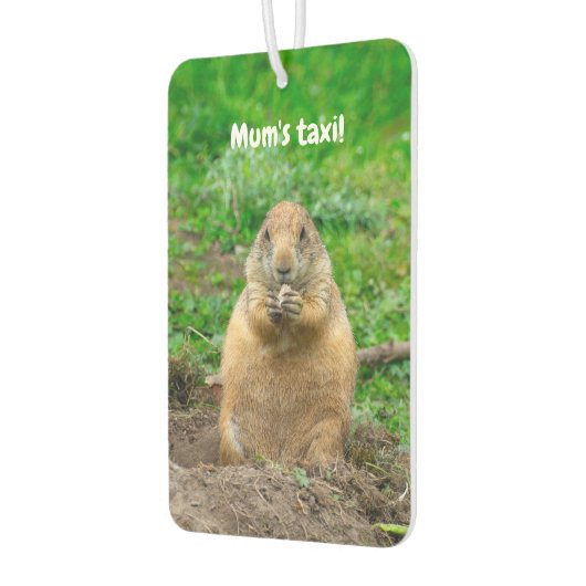 Schattigee kleine zwartstaartprairiehond luchtverfrisser (Links)