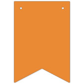 Schattigee Kleurrijke Afstuderen Bunting Vlaggetjes (Tweede vlag)