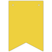 Schattigee Kleurrijke Afstuderen Bunting Vlaggetjes (Eerste vlag)