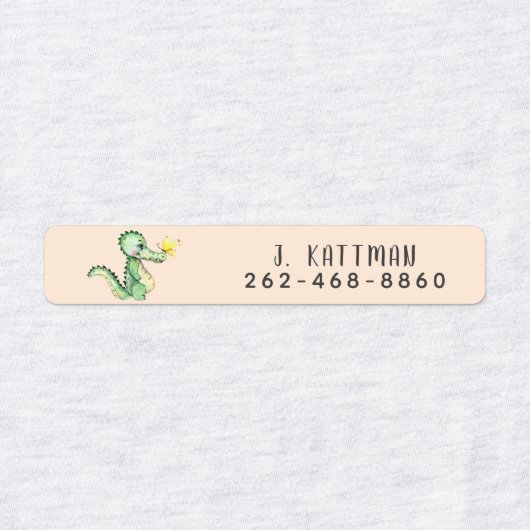 Schattigee Kleurrijke Alligator School Kinderopvan Labels (Design 2)