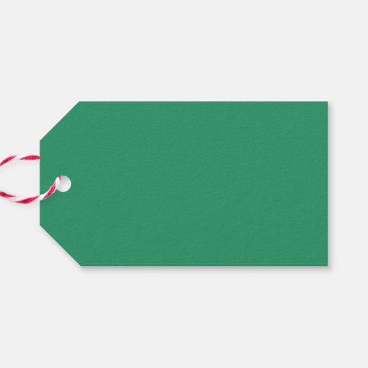 Schattigee kleurrijke bedankt baby shower dank u g cadeaulabel (Achterkant Horizontaal)