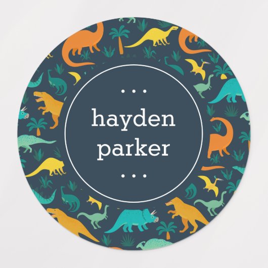 Schattigee Kleurrijke Dinosaurus Patroon Kinder Na Labels (Design 2)