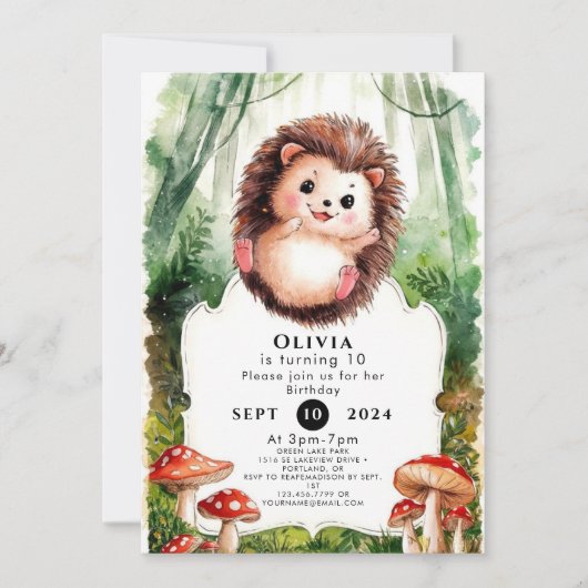 Schattigee kleurrijke egel verjaardag kaart (Voorkant)