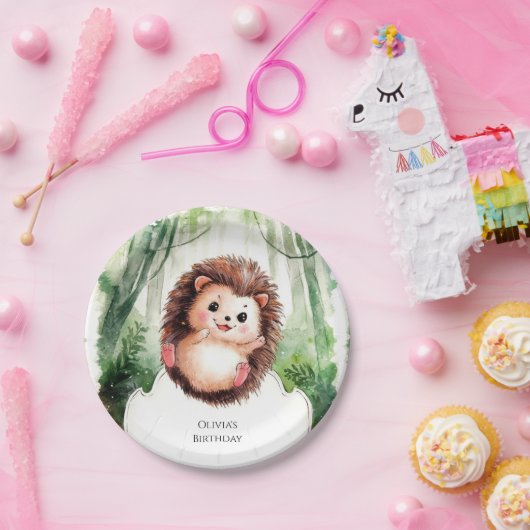 Schattigee kleurrijke egel verjaardag papieren bordje (Feest)