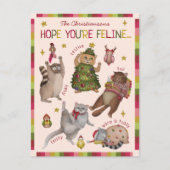 Schattigee Kleurrijke Kattenliefhebber Gevoel Graf Feestdagenkaart (Voorkant)