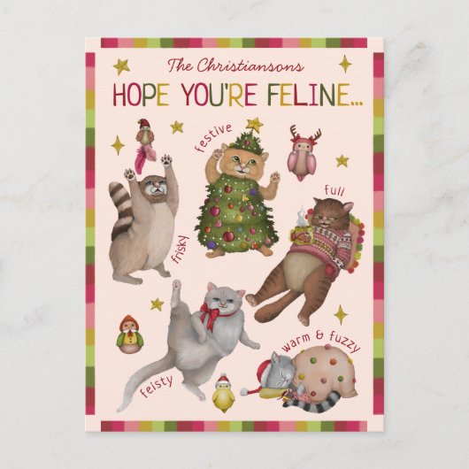 Schattigee Kleurrijke Kattenliefhebber Gevoel Graf Feestdagenkaart (Voorkant)