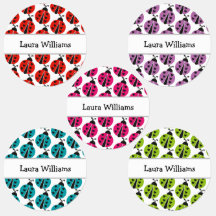 Schattigee kleurrijke lieveheersbeestje gepersonal