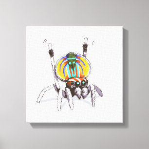 Schattigee Kleurrijke Peacock Spider Tekening Kuns Canvas Afdruk