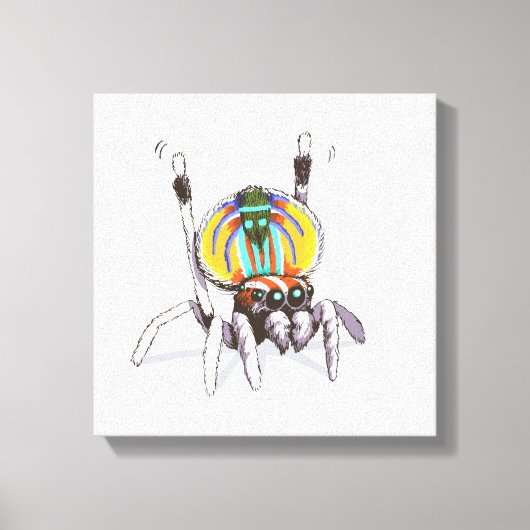 Schattigee Kleurrijke Peacock Spider Tekening Kuns Canvas Afdruk (Voorkant)