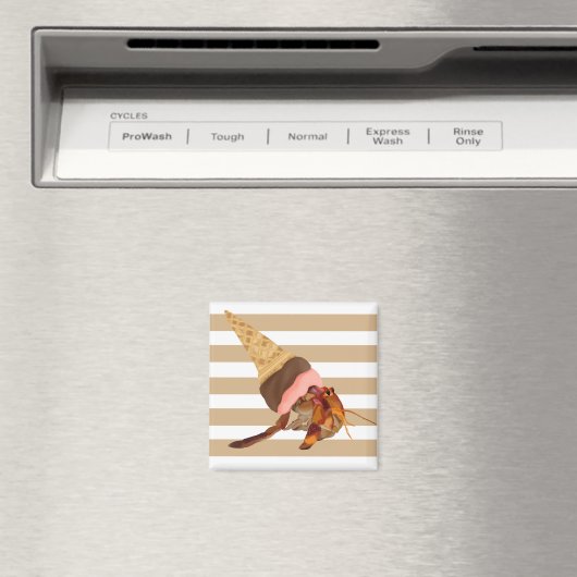 Schattigee Kluizenkrab met ijskegelvormige schelp Magneet (Insitu (Vaatwasser))