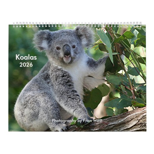Schattigee knuffelige Koala Kalender 2026 (Hoes)