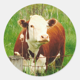 Schattigee Knuffelige Koe 4Carla Ronde Sticker