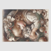 Schattigee Knuffelkitten Kerst Tissuepapier (Voorkant)