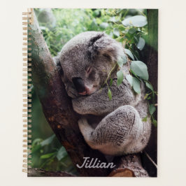 Schattigee Koala Beer Dierenvrienden Jaarlijks Planner