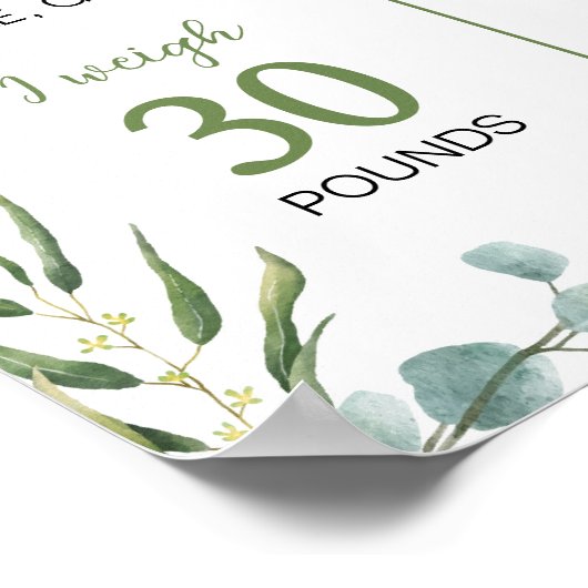 Schattigee Koala Greenery Verjaardag Mijlpaal Teke Poster (Hoek)