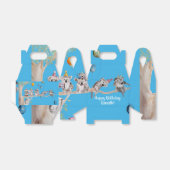 Schattigee Koala Koala's Kinderverjaardagstaart Fa Bedankdoosjes (Uitgevouwen)