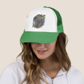 Schattigee Koala Trucker Hat Trucker Pet (In situ)