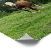 Schattigee koe in de wei, fotografie, plezier poster (Hoek)