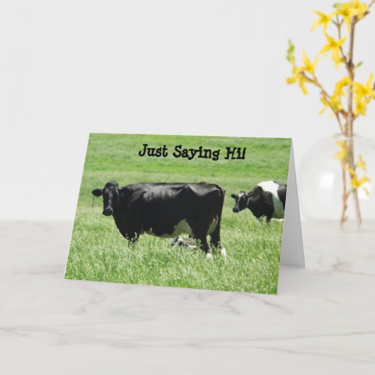 Schattigee Koeien Gewoon Gezegden Hi Kaart om in c (Gele Bloem)