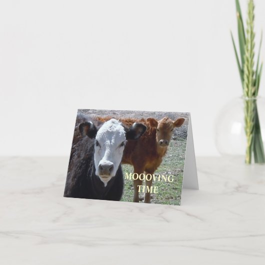 Schattigee Koeien - Westerne adreswijziging Aankondiging (Voorkant)