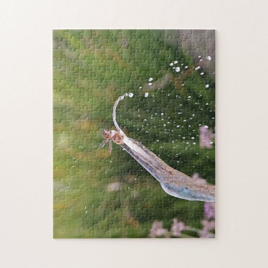 Schattigee kolibrie spelen in fonteinpuzzel legpuzzel (Verticaal)