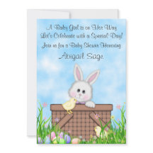 Schattigee konijn, kuikens, paaseieren Baby shower