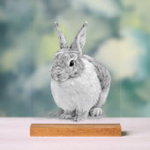 Schattigee konijnenpotloodtekening acryl bord (Neutraal)