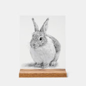 Schattigee konijnenpotloodtekening acryl bord (Voorkant)