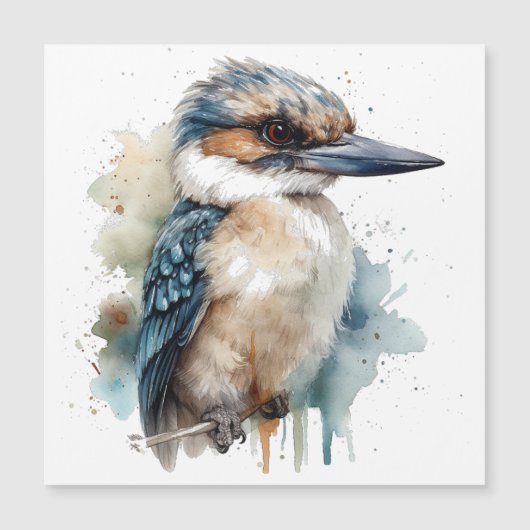 Schattigee Kookaburra op een Branch (Voorkant)