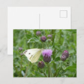Schattigee Kool Witte Vlinder DIY Briefkaart (Voorkant / Achterkant)