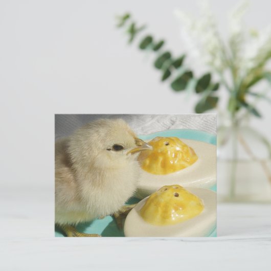 Schattigee kuikens en duivelse eieren briefkaart (Staand voorkant)