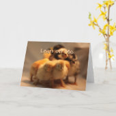 Schattigee kuikens Wenskaart Kaart (Gele Bloem)