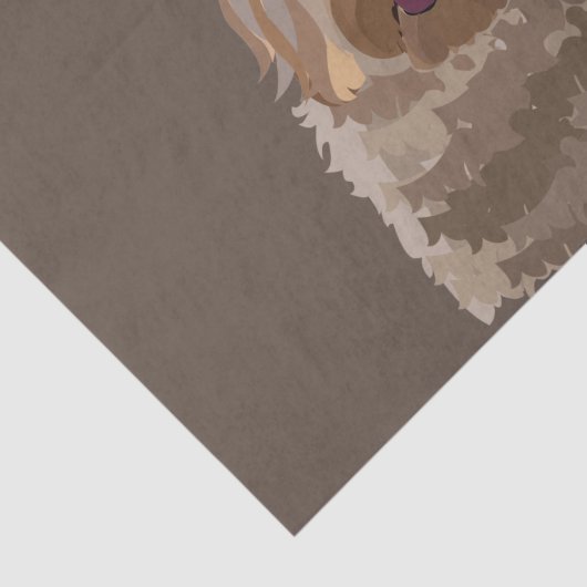 Schattigee labradoodle goldendoodle poedelhond tissuepapier (Detail)