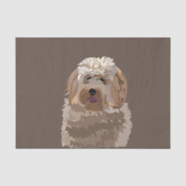 Schattigee labradoodle goldendoodle poedelhond tissuepapier