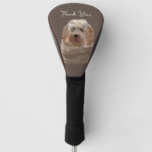 Schattigee labradoodle hond gepersonaliseerd