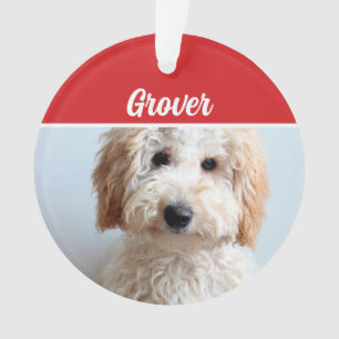 Schattigee Labradoodle Hond Vakantie Kerstfoto Ornament