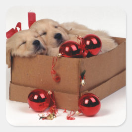 Schattigee Labrador puppies met x-mas snuisterijen Vierkante Sticker