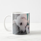 Schattigee labrador retriever mix vermoeide hond g koffiemok (Links)