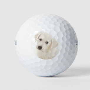Schattigee Labrador Retriever Puppy Golfballen