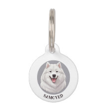Schattigee lachende Samoyed Dog