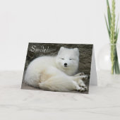 Schattigee lachende witte poolvos Natuur Verjaarda Kaart (Voorkant)