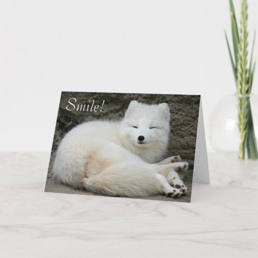 Schattigee lachende witte poolvos Natuur Verjaarda Kaart (Voorkant)