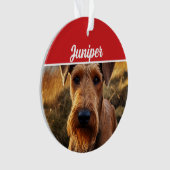 Schattigee Lakeland Terrier Hond Vakantie Kerstfot Ornament (voorkant)