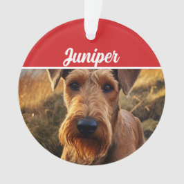 Schattigee Lakeland Terrier Hond Vakantie Kerstfot Ornament