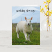 Schattigee Lam Verjaardag Bleetings - Lam in het v Kaart (Gele Bloem)