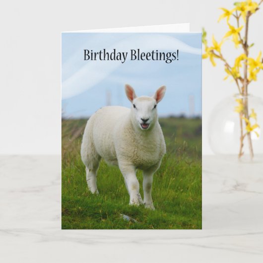 Schattigee Lam Verjaardag Bleetings - Lam in het v Kaart (Gele Bloem)