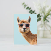 Schattigee lama met zonnebril op briefkaart (Staand voorkant)