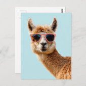 Schattigee lama met zonnebril op briefkaart (Voorkant / Achterkant)