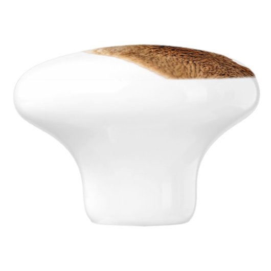 Schattigee lama met zonnebril op keramische knop (Zijkant)