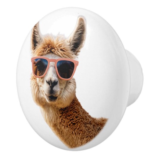 Schattigee lama met zonnebril op keramische knop (Rechts)